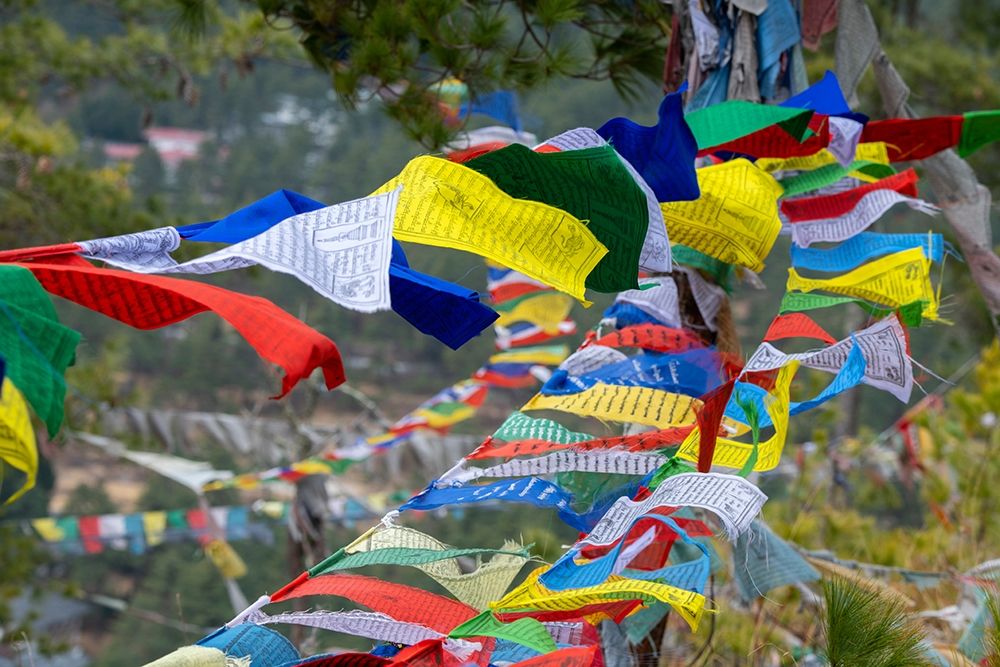Bhutan-Thimphu Colorful prayer flags on mountain top at the Sangaygang Geodetic Station art print by Cindy Miller Hopkins for $57.95 CAD